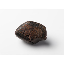 Meteorit ( Chondrit ) 105,4 g